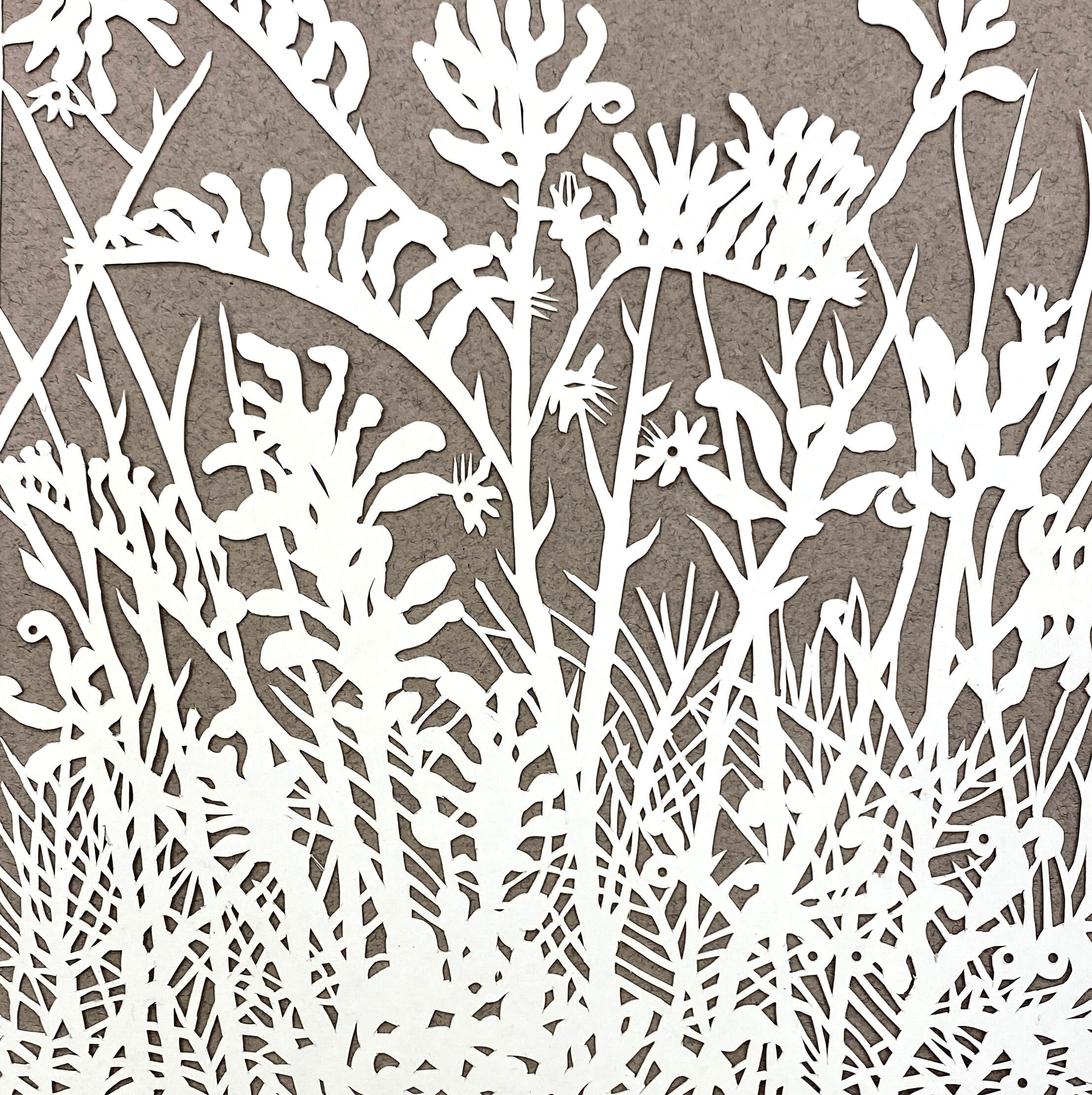 6. Grevillia and Kangaroo Paw