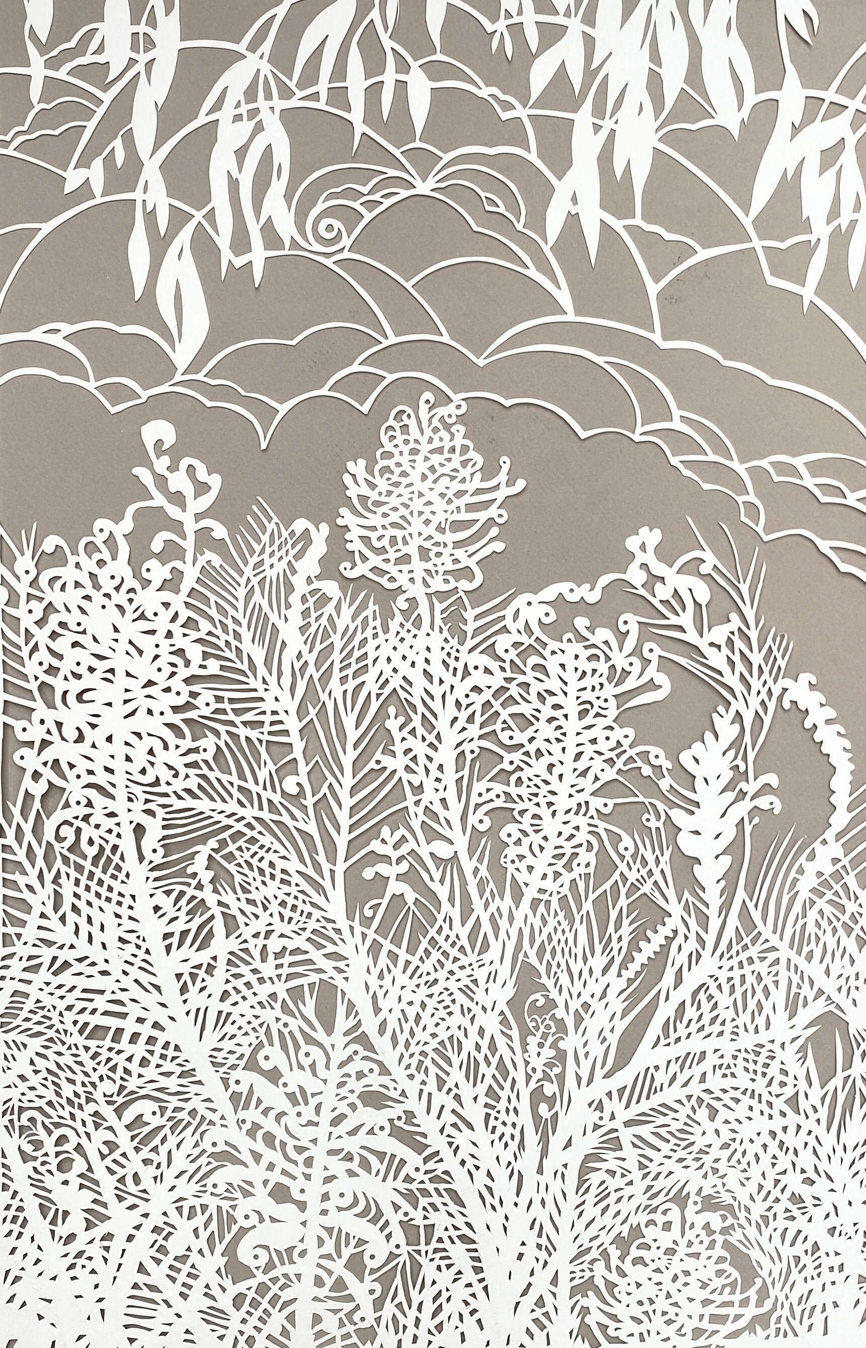 3. Grevillia and gum